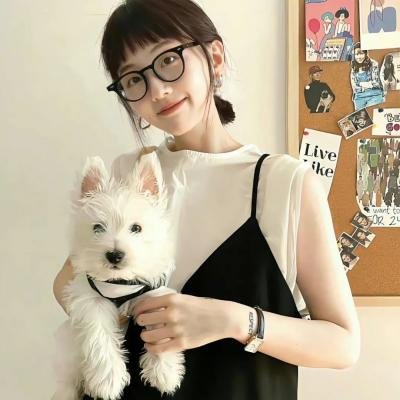 胖子行动队